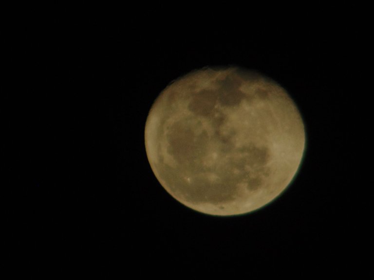 DSC07059.JPG