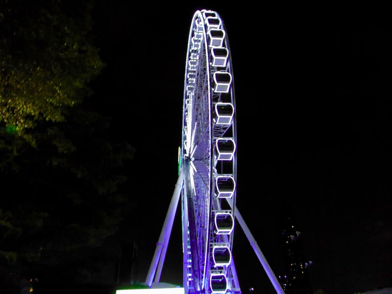 DSC03244.jpg