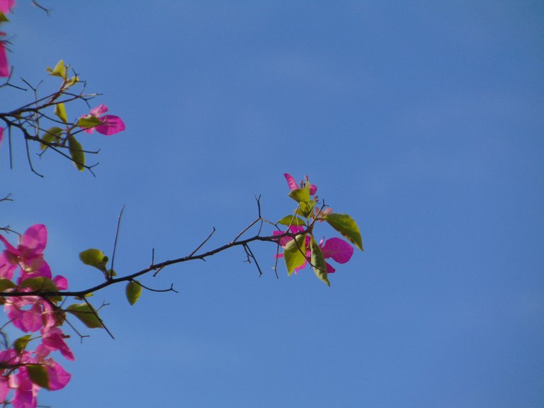 DSC06795.JPG