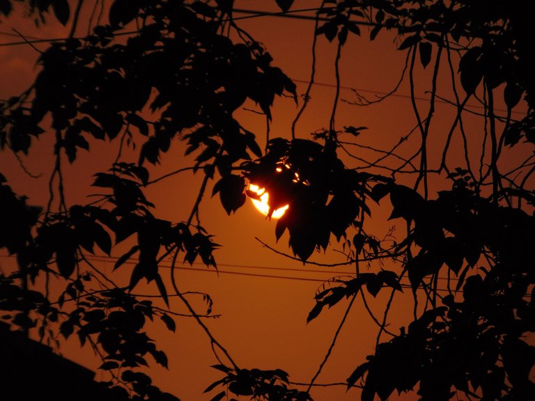 DSC07375.JPG