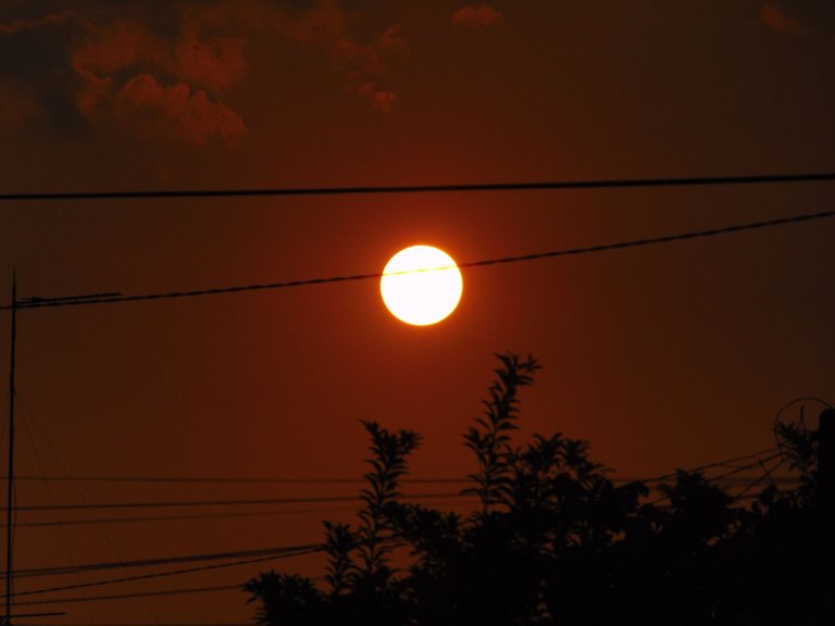 DSC07365.JPG