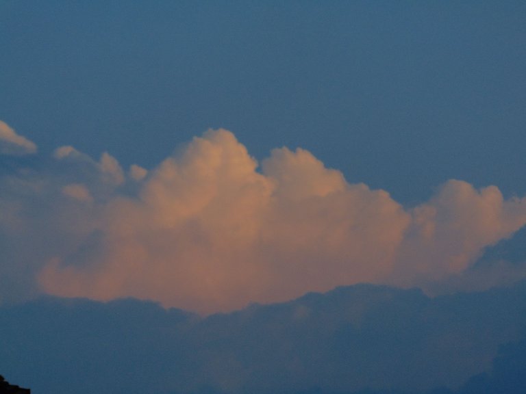 DSC07317.JPG