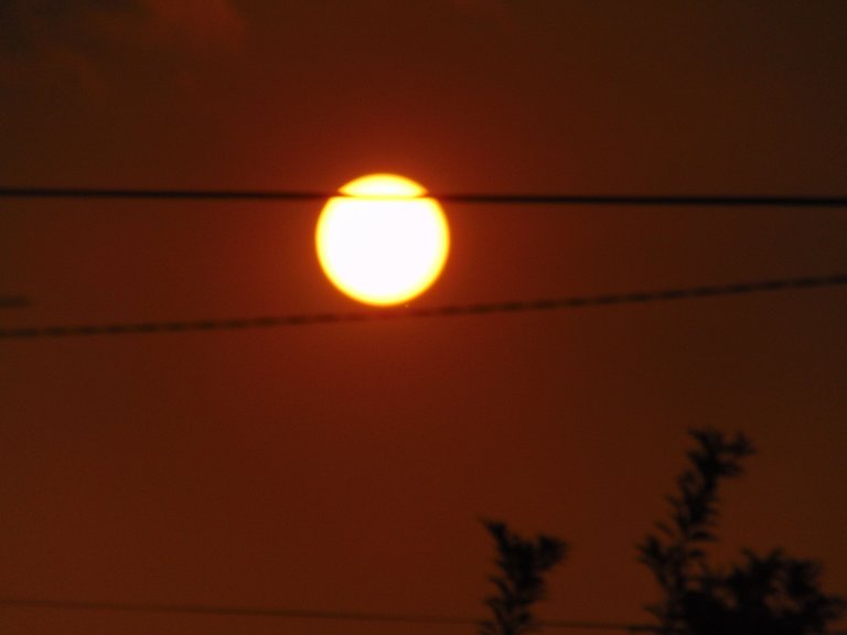 DSC07359.JPG