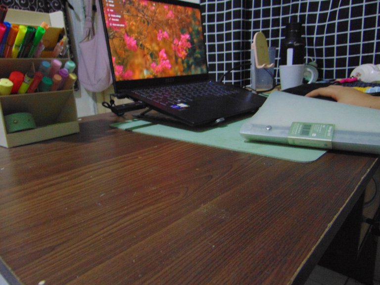 DSC06410.JPG