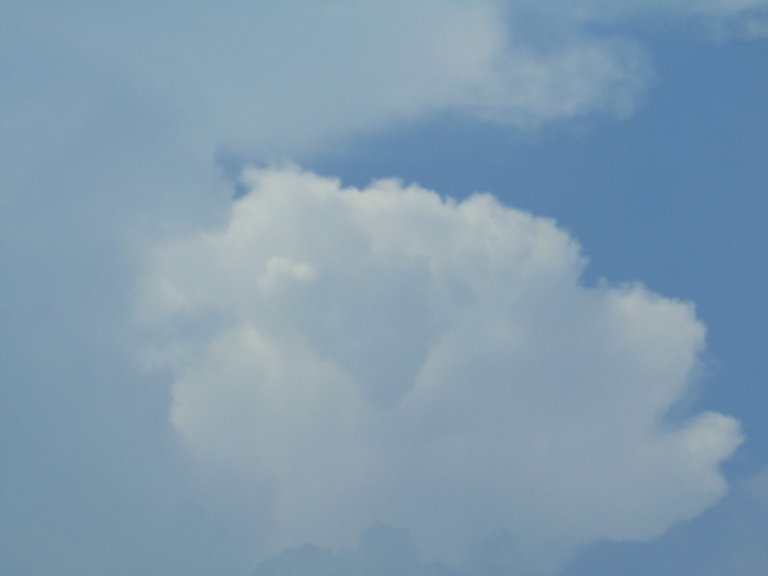 DSC04681.JPG