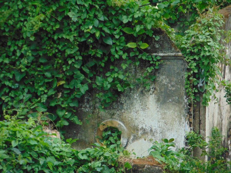 DSC07155.JPG