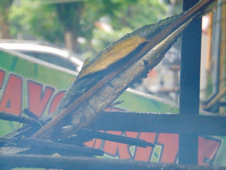 DSC08834.JPG