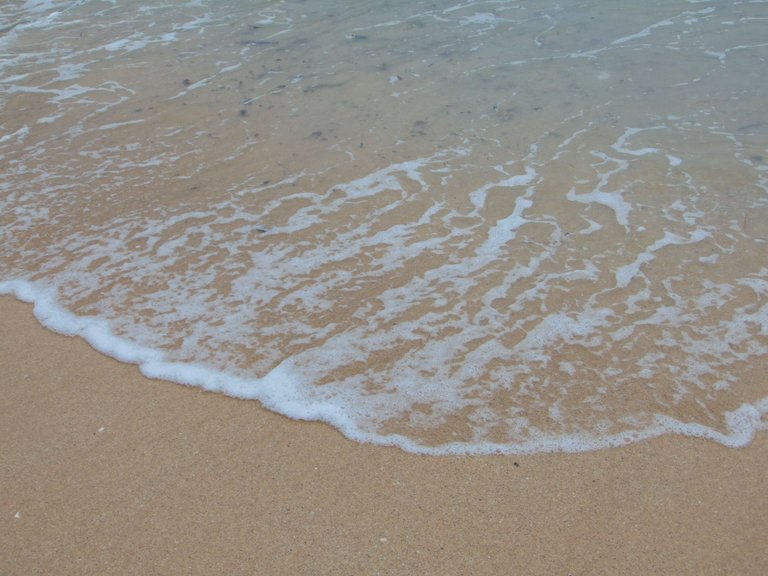 DSC08820.JPG