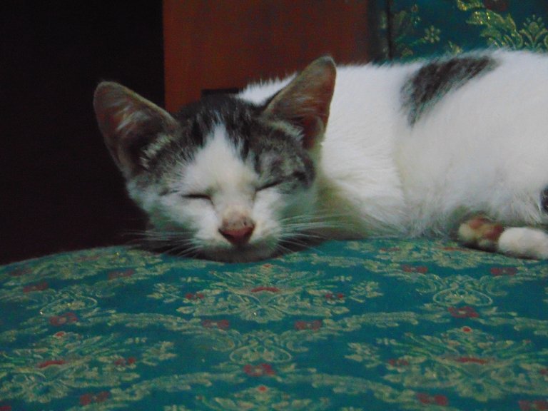 DSC06648.JPG