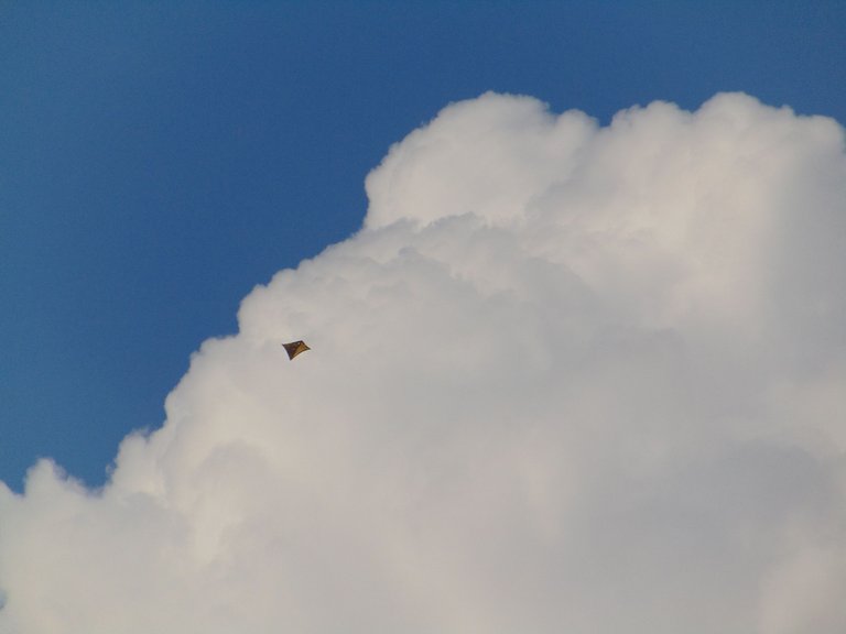 DSC06786.JPG