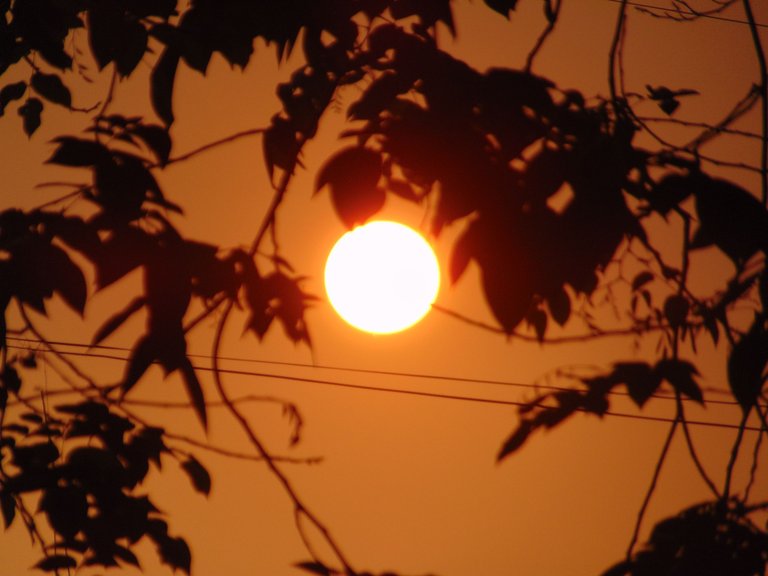 DSC07378.JPG