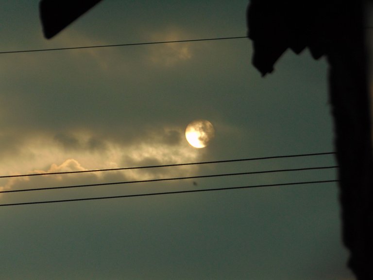 DSC07157.JPG