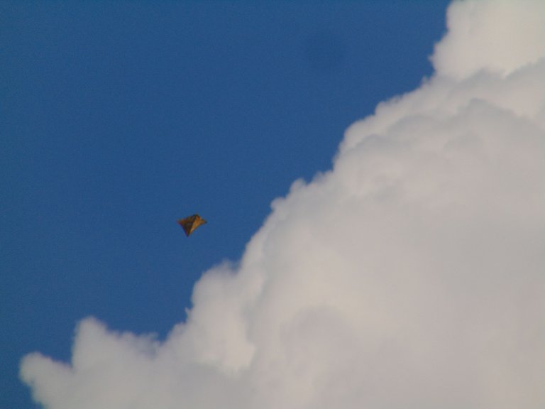 DSC06785.JPG
