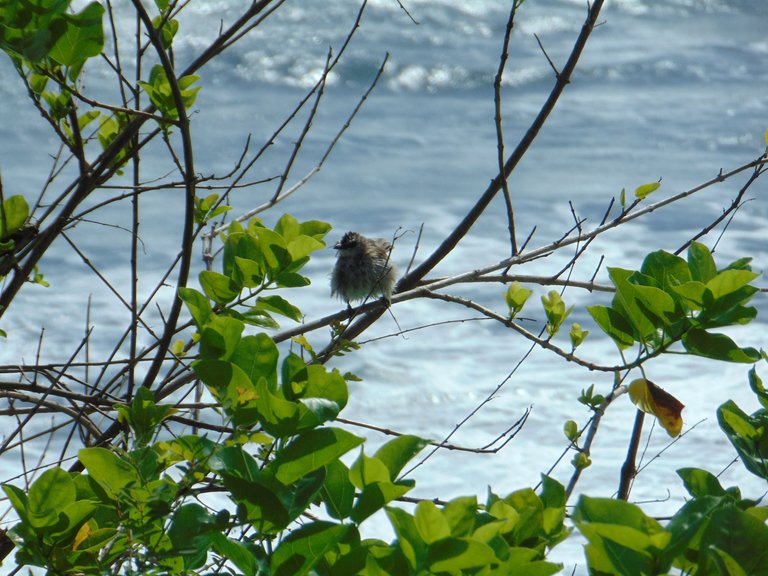 tanahlot10.JPG