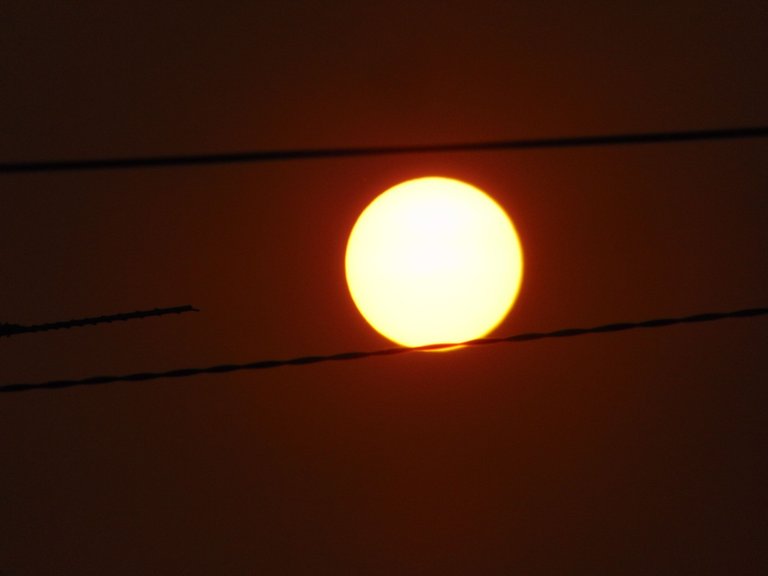 DSC07366.JPG