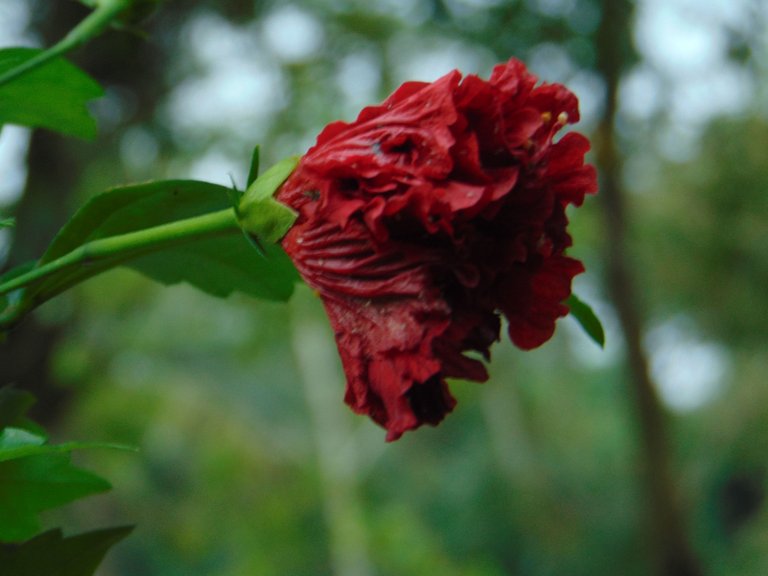 DSC07263.JPG