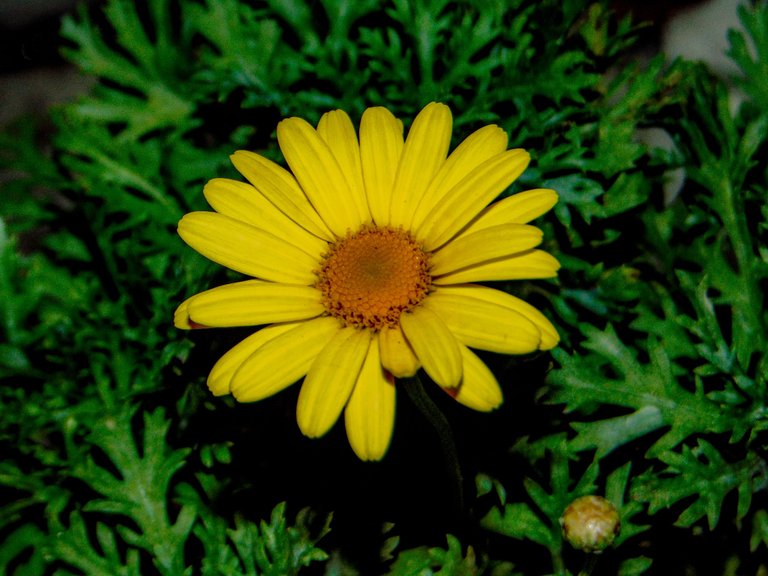 DSC07506.JPG