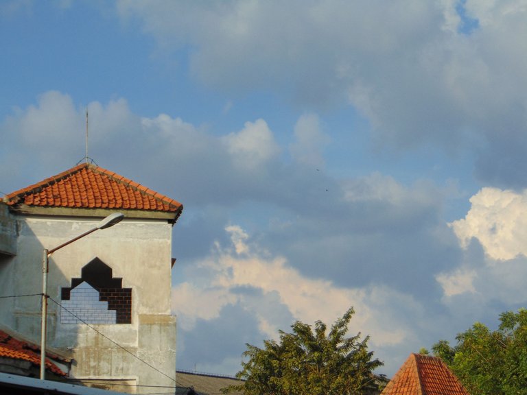 DSC05828.JPG