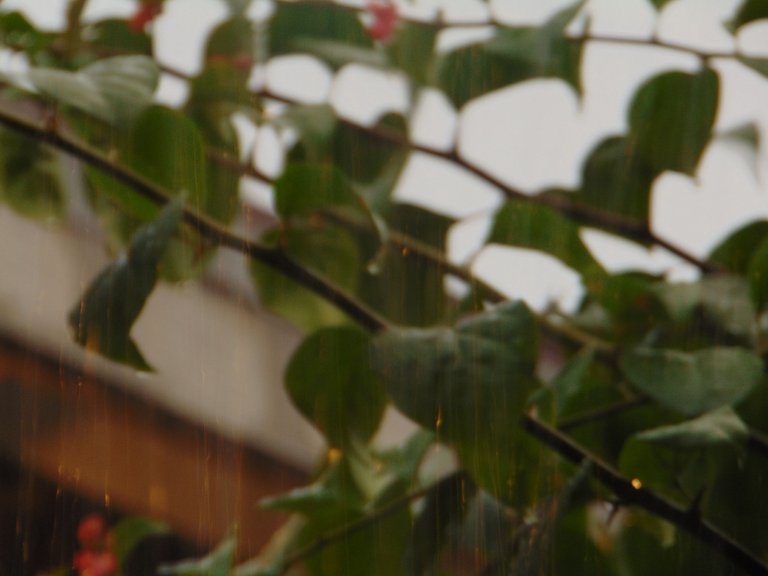 DSC06224.JPG