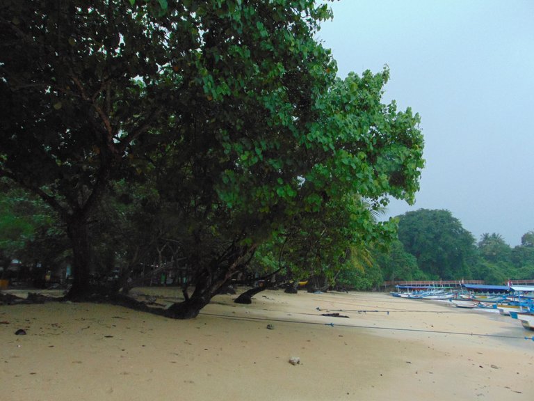 DSC08827.JPG