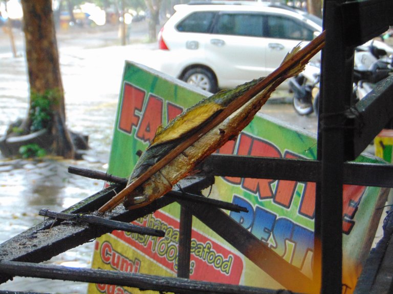 DSC08832.JPG