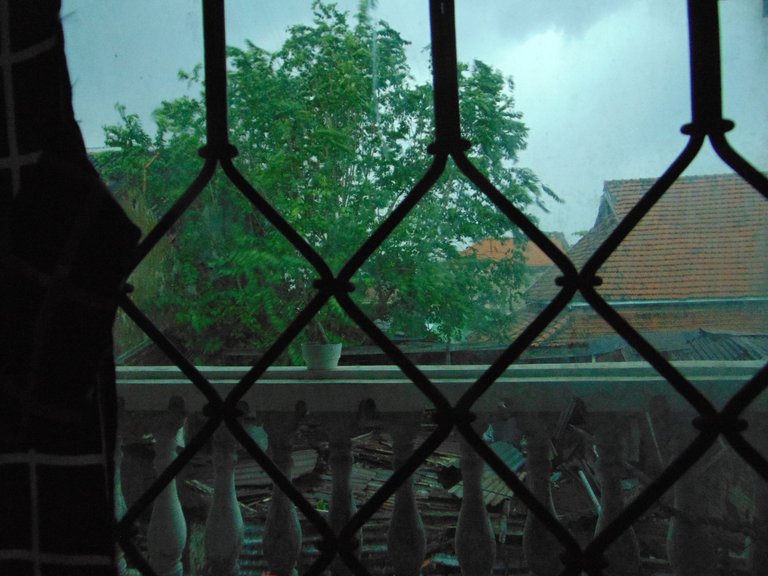 DSC06069.JPG