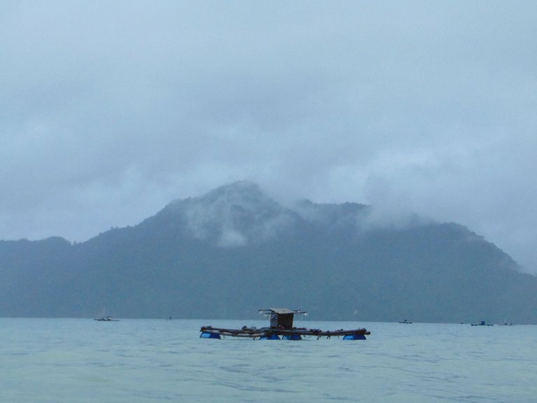 DSC08879.JPG