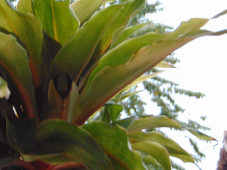 DSC06952.JPG