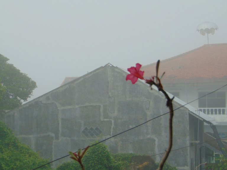 DSC06362.JPG