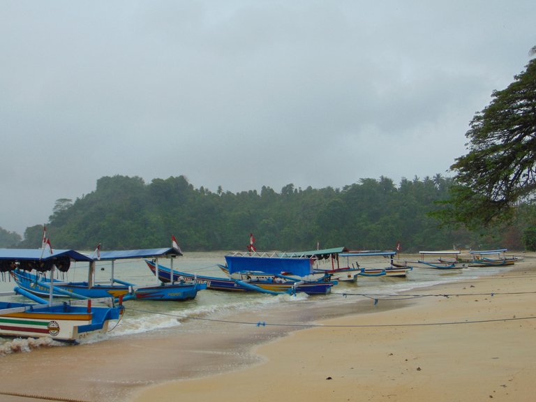 DSC08806.JPG