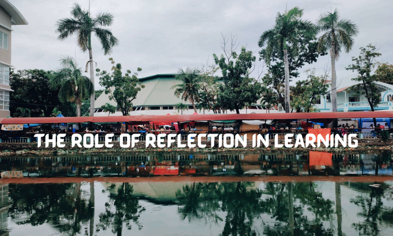 The Role of Reflection in Learning.png