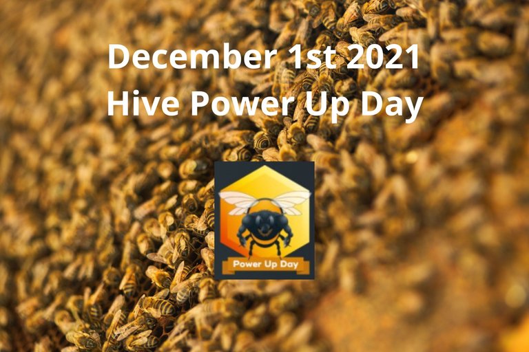 December 1st 2021 Hive Power Up Day.jpg
