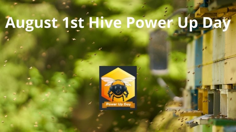 August 1st Hive Power Up Day.jpg