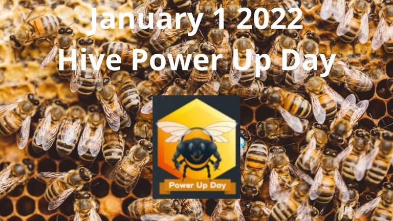January 1 2022 Hive Power Up Day.jpg