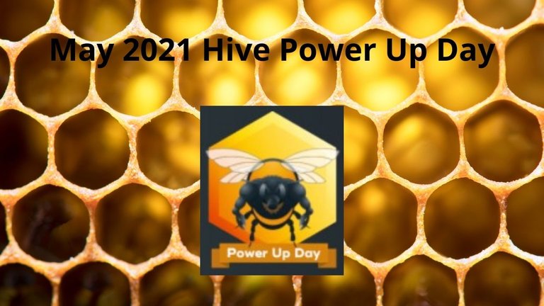 May 2021 Hive Power Up Day.jpg