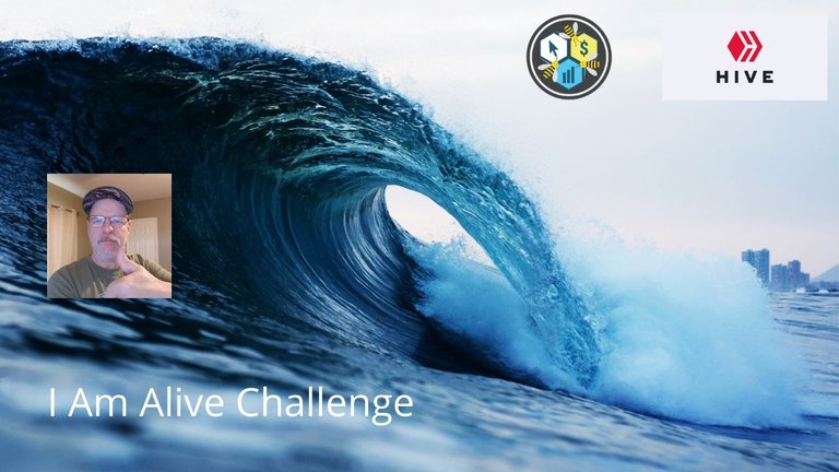 I Am Alive Challenge 13.jpg