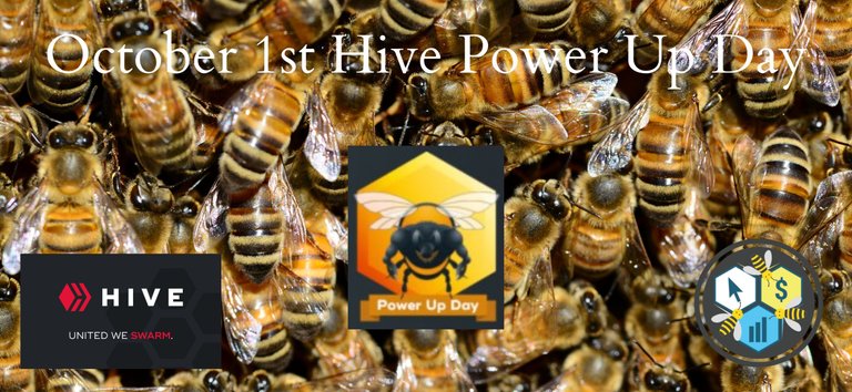 October 1st Hive Power Up Day.jpg