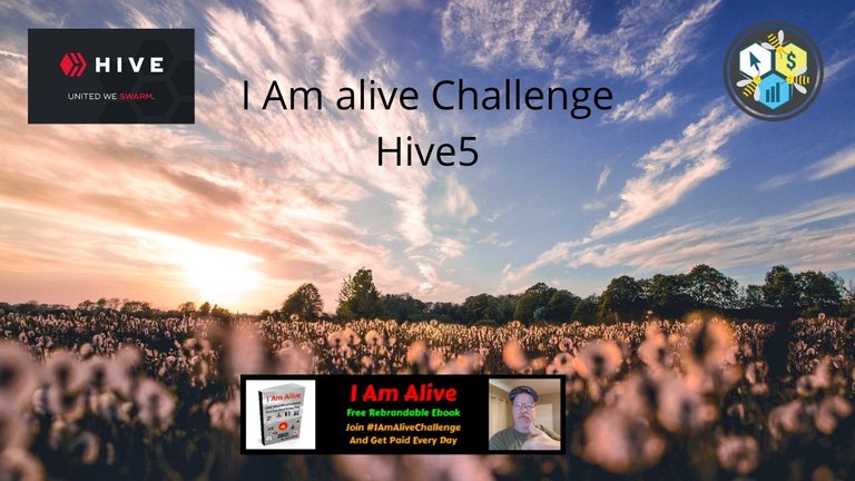 I Am alive Challenge Hive5 7.jpg