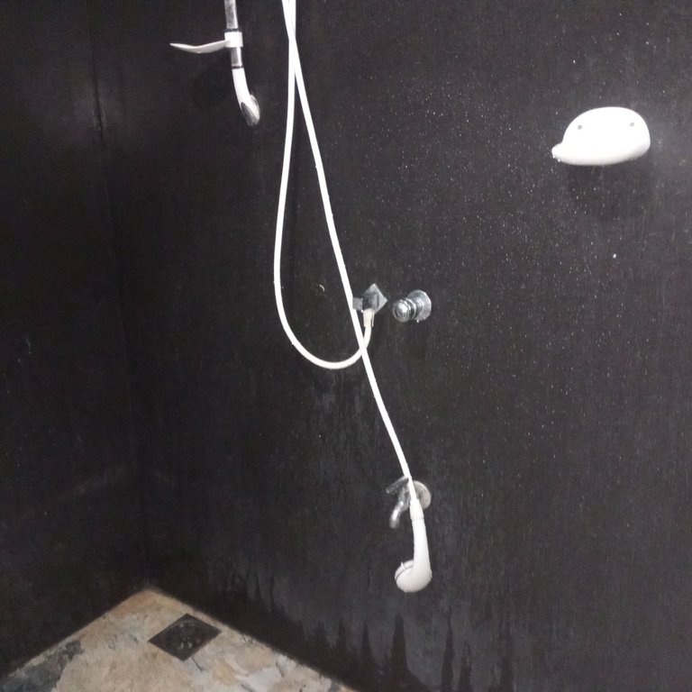 1000089883.jpg