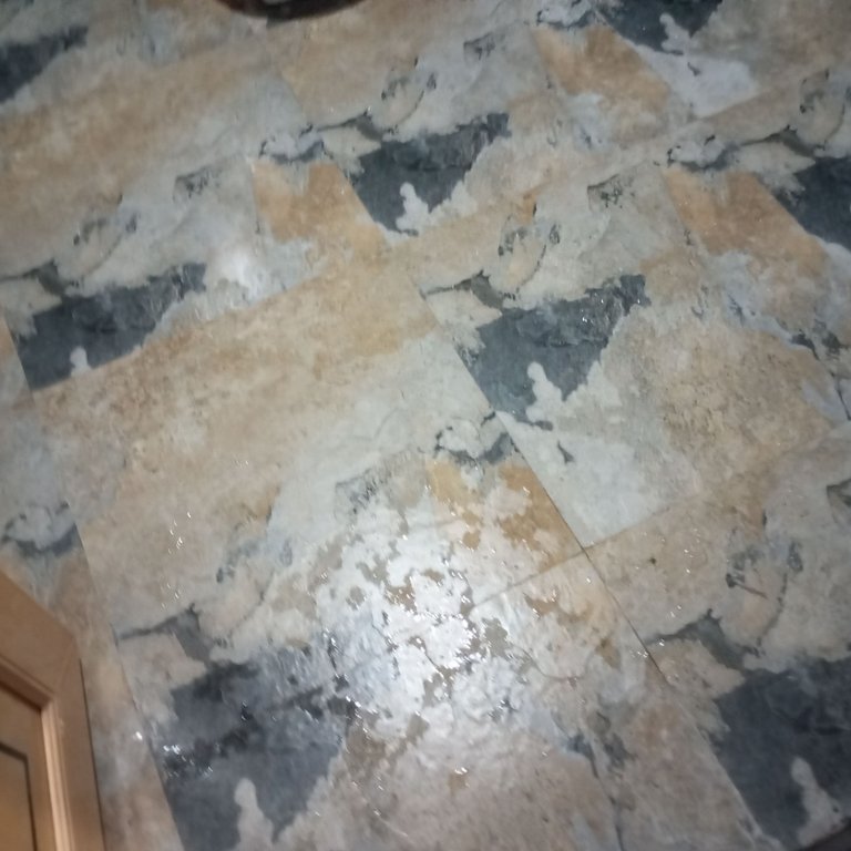 1000089881.jpg