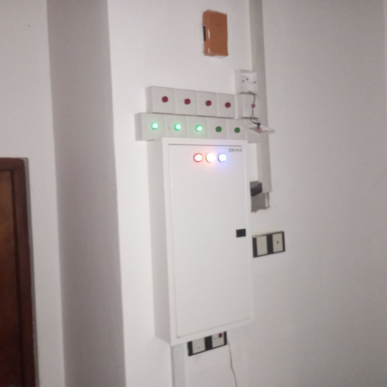 1000089869.jpg