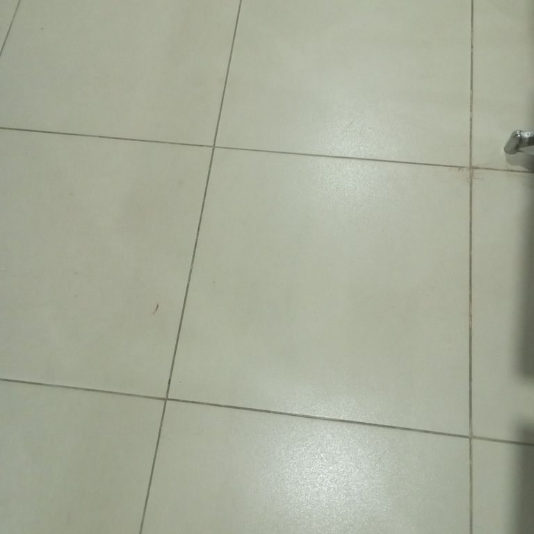 1000116414.jpg
