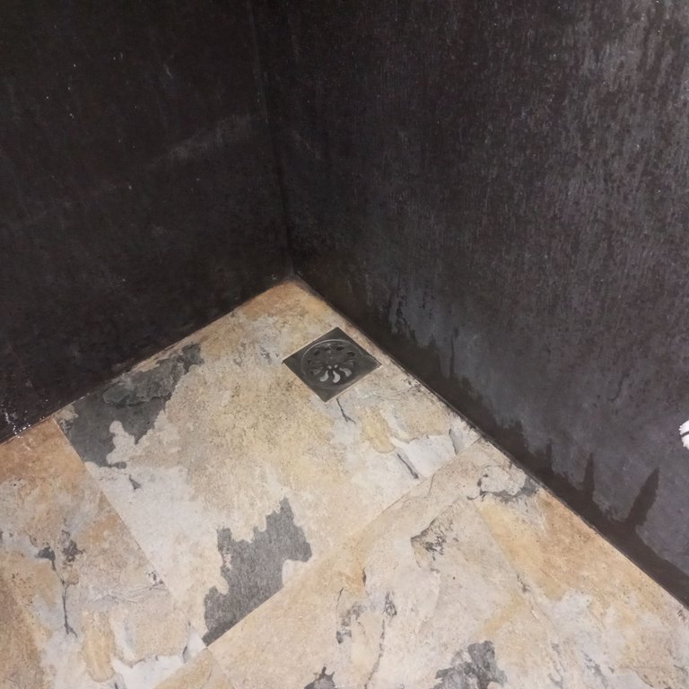 1000089890.jpg