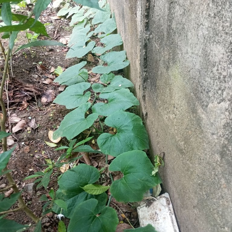 1000124451.jpg