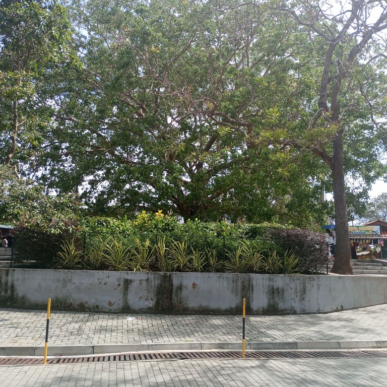 1000090119.jpg