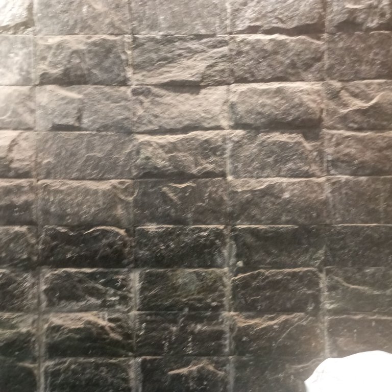 1000081221.jpg
