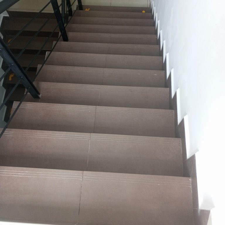 1000116413.jpg
