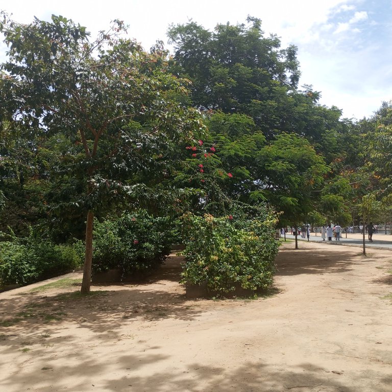 1000090026.jpg