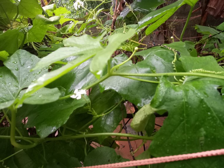20231007_075436.jpg