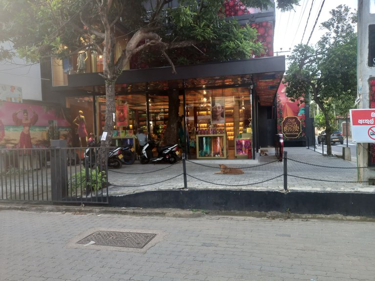 20230917_171317.jpg